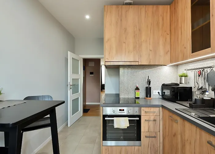 Dzīvoklis Luxury 110M2 Apartment With Bathtub - Caka Street Central Riga